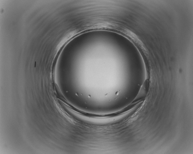 X0000064721234200602171608