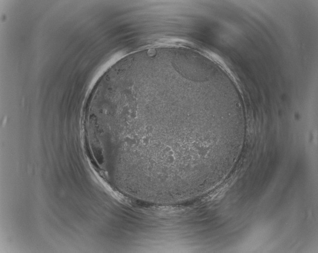 X0000064721235200602171608