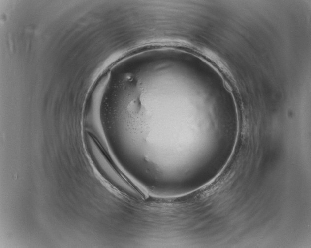 X0000064721237200602171608