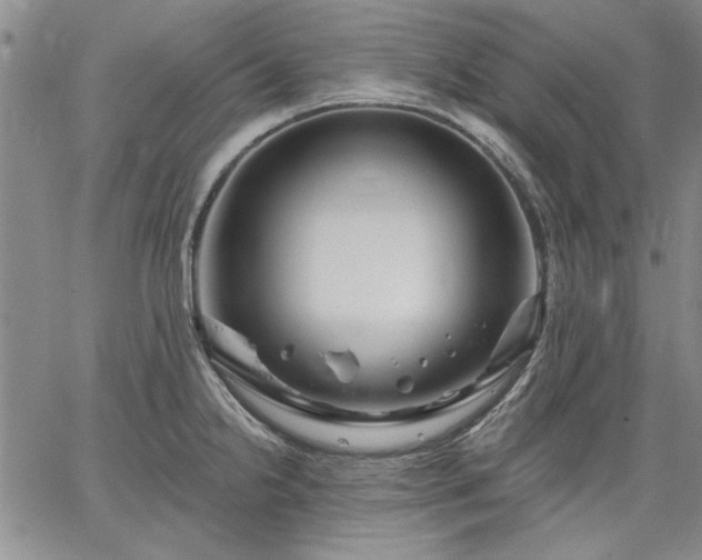 X0000064721238200602171608