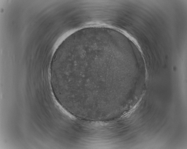 X0000064721239200602171608