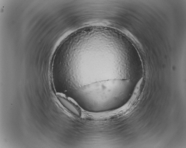 X0000064721240200602171608