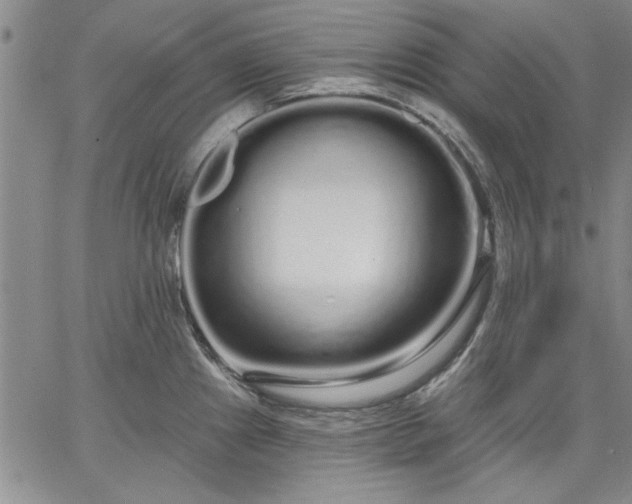 X0000064721241200602171608