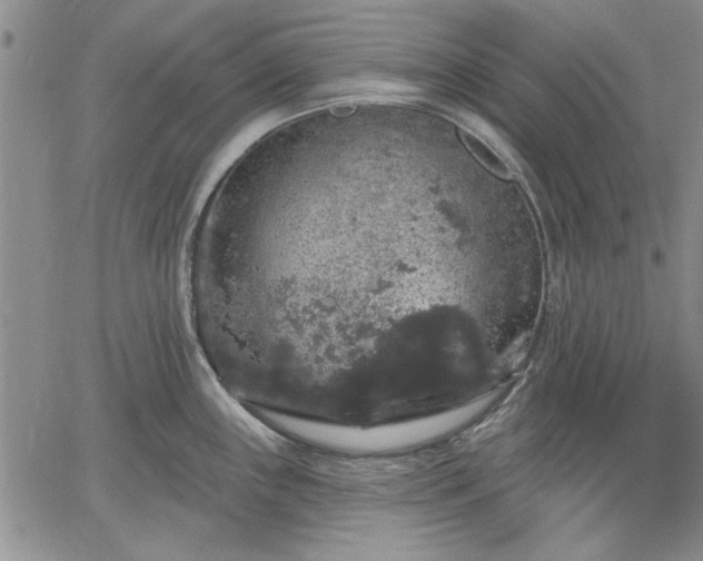 X0000064721243200602171608