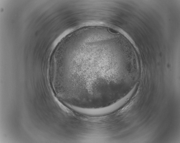 X0000064721245200602171608