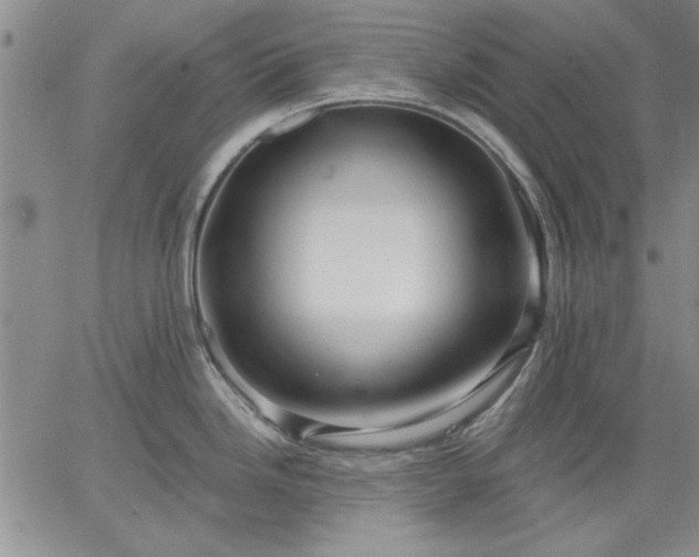 X0000064721246200602171608