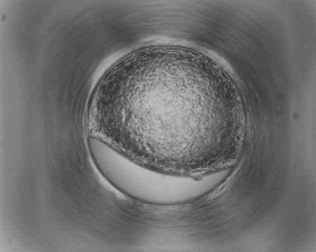 X0000064721247200602171608