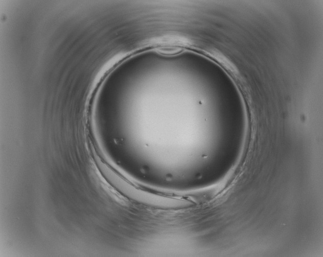 X0000064721248200602171608