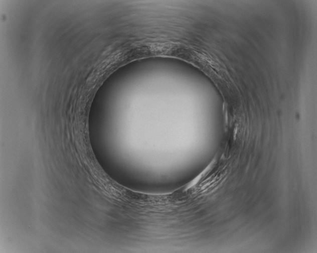 X0000064721249200602171607