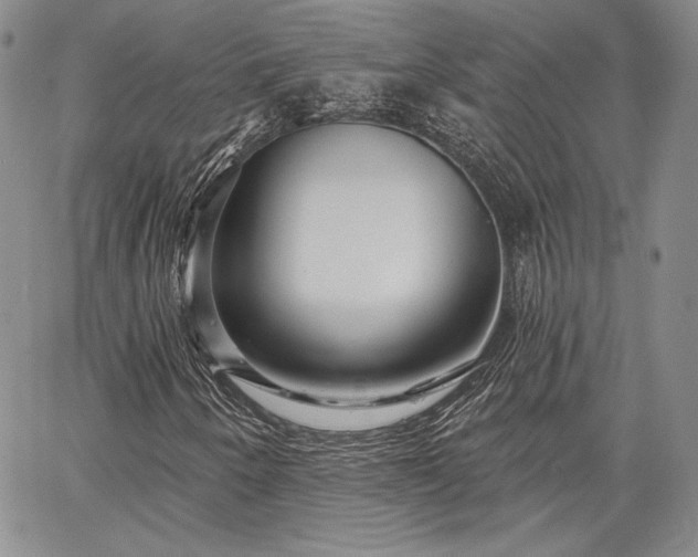 X0000064721250200602171607