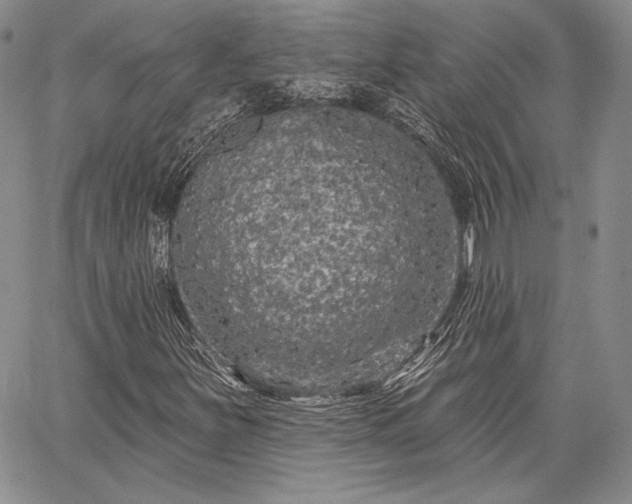 X0000064721251200602171607