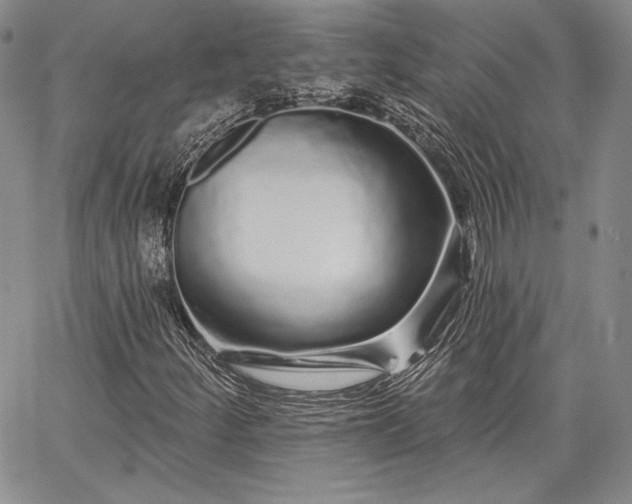 X0000064721252200602171607