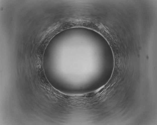 X0000064721253200602171607