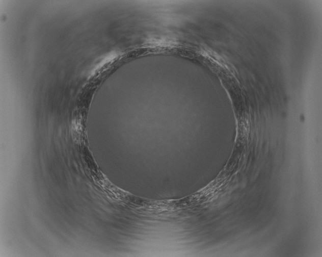 X0000064721254200602171607