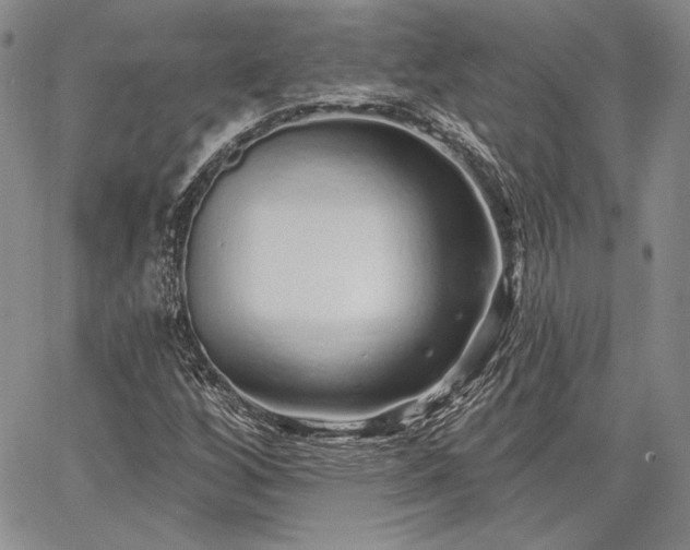 X0000064721256200602171607