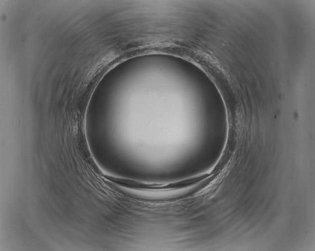 X0000064721257200602171607