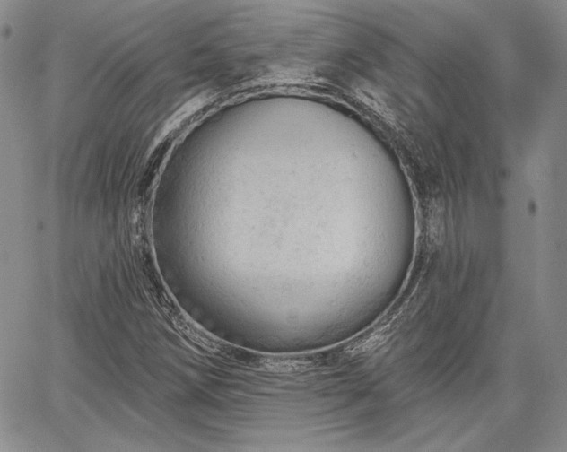 X0000064721258200602171607