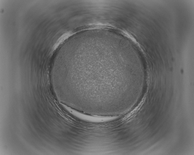 X0000064721259200602171607