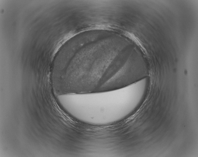 X0000064721260200602171607