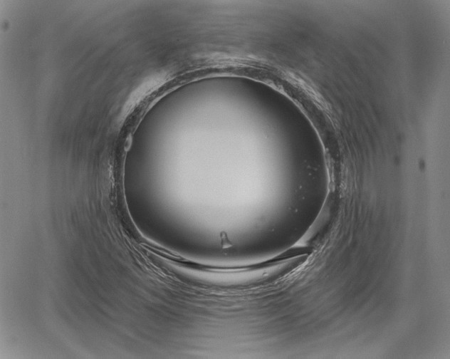 X0000064721261200602171607