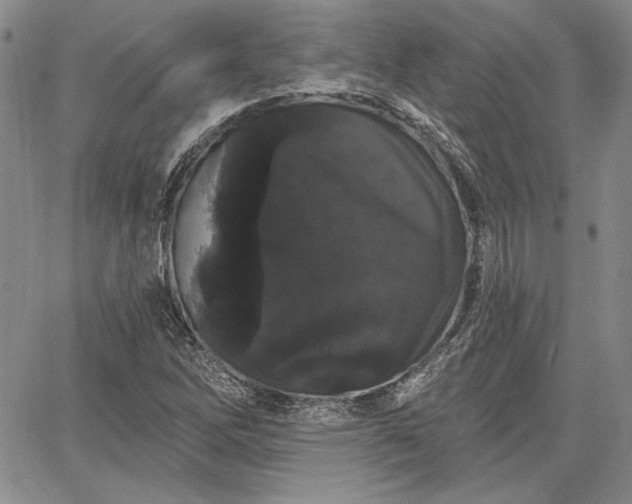 X0000064721262200602171607