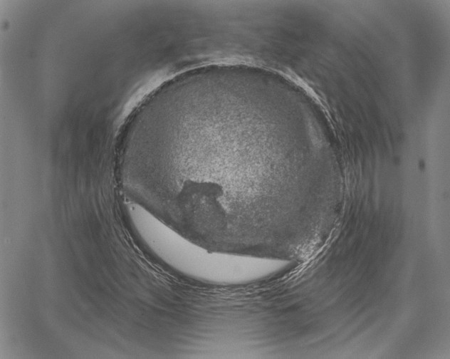 X0000064721263200602171607