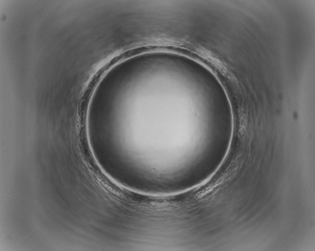 X0000064721264200602171607