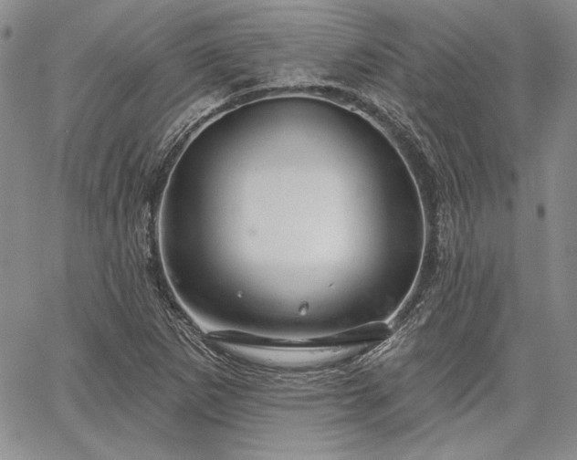 X0000064721265200602171607