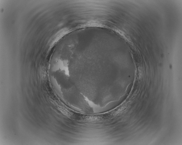 X0000064721266200602171607