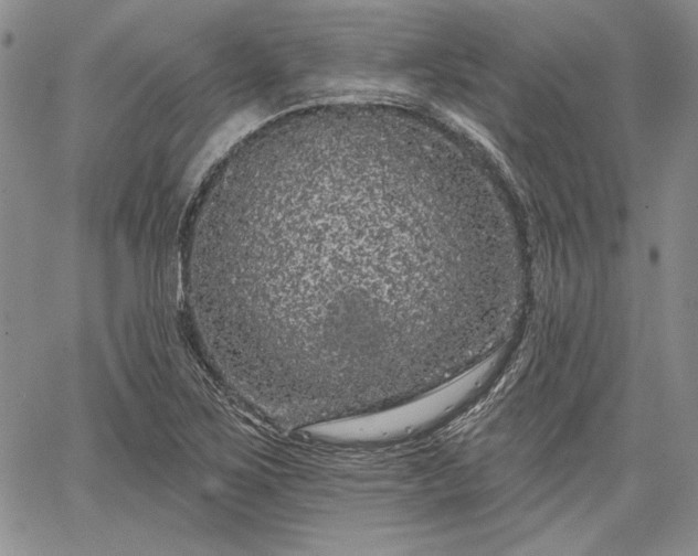 X0000064721267200602171607