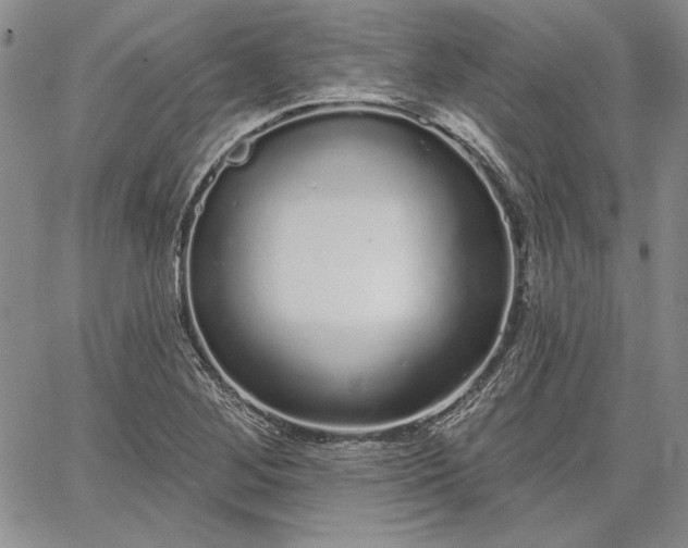 X0000064721268200602171607