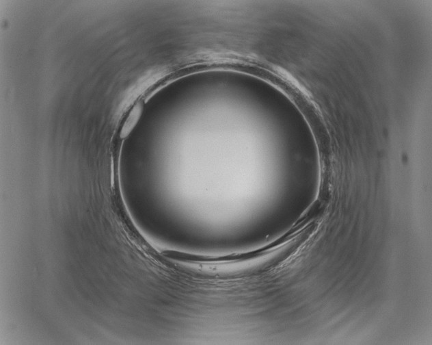 X0000064721269200602171607