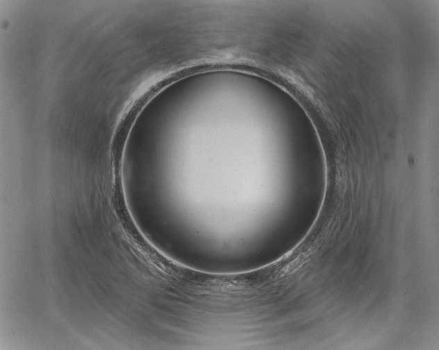 X0000064721270200602171607