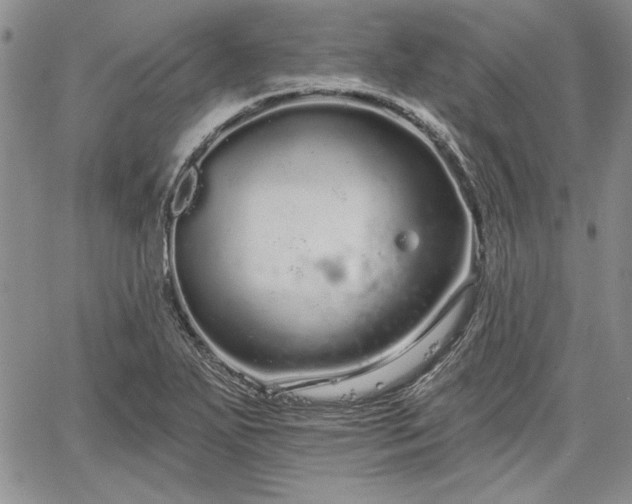 X0000064721271200602171607