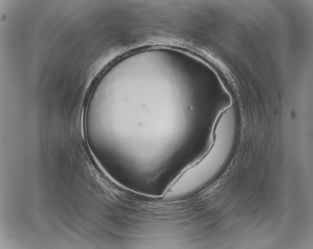 X0000064721272200602171607