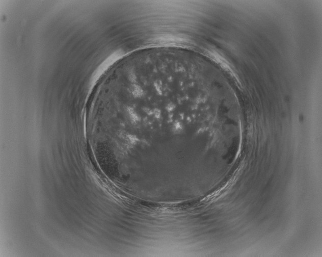 X0000064721275200602171607