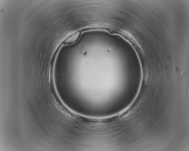 X0000064721276200602171607