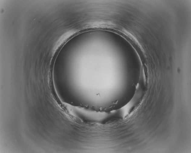 X0000064721277200602171607