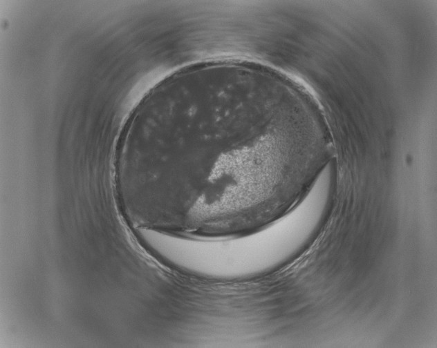 X0000064721279200602171607