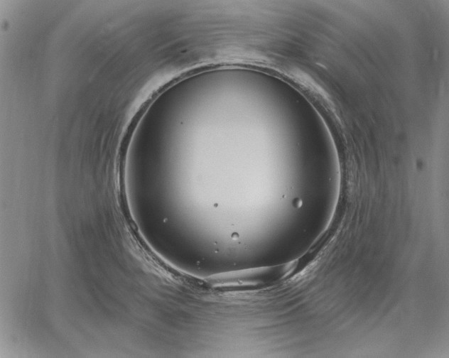 X0000064721280200602171607