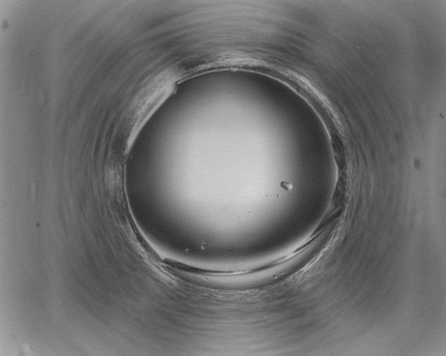 X0000064721281200602171606