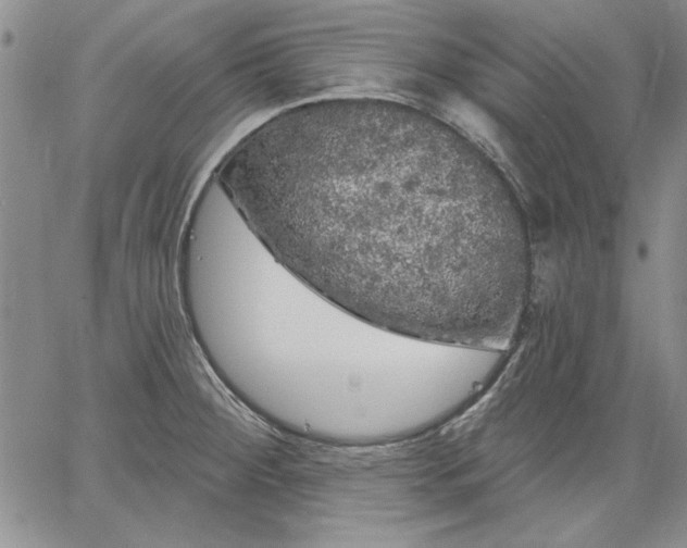 X0000064721284200602171606