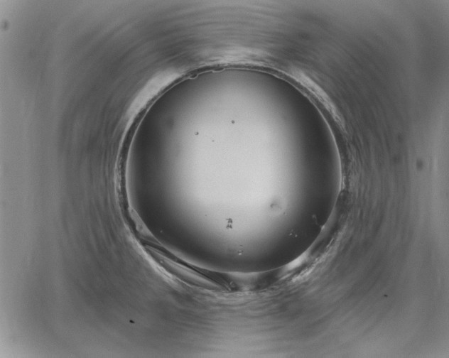 X0000064721285200602171606