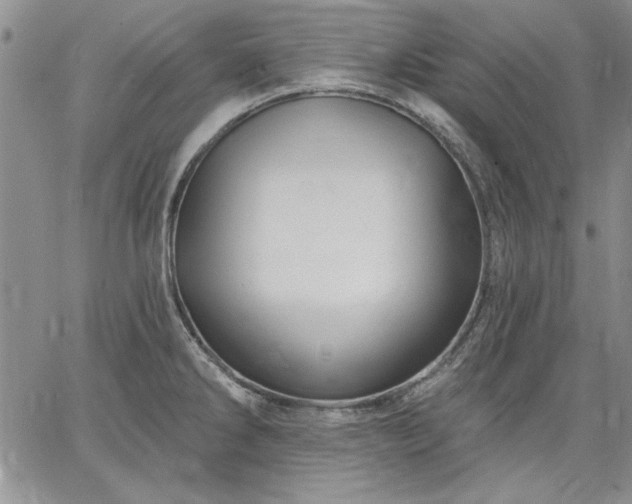 X0000064721286200602171606