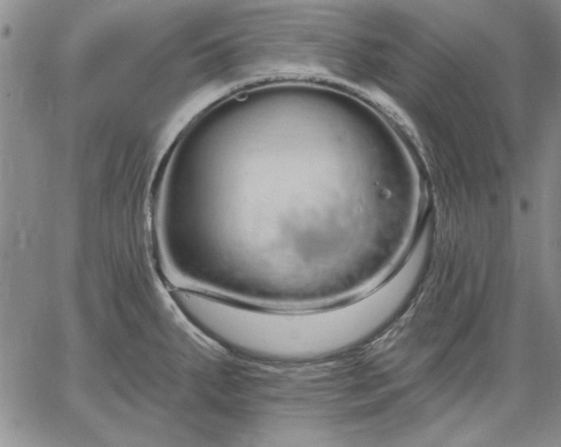 X0000064721287200602171606