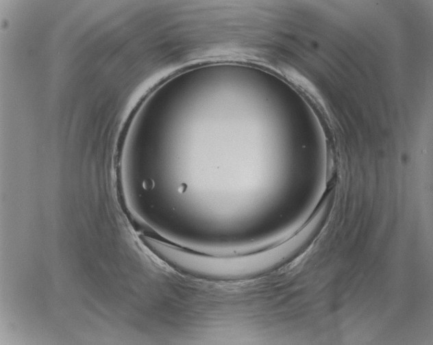 X0000064721288200602171606