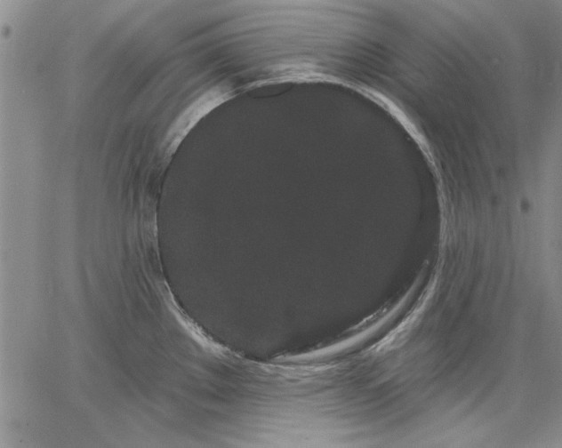 X0000064721289200602171606