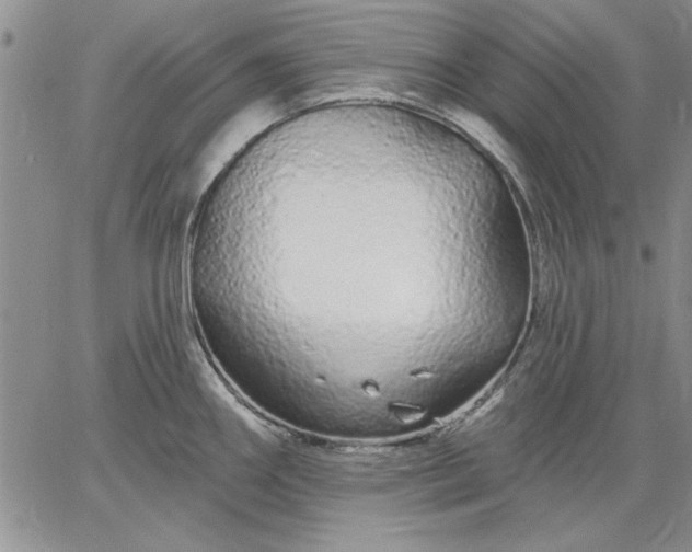 X0000064721290200602171606