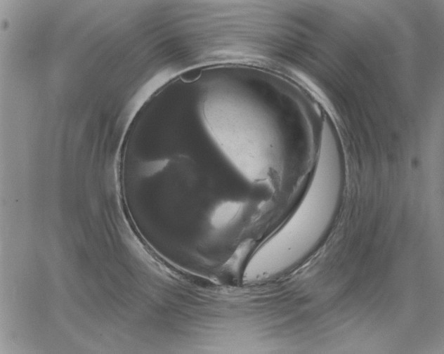 X0000064721291200602171606