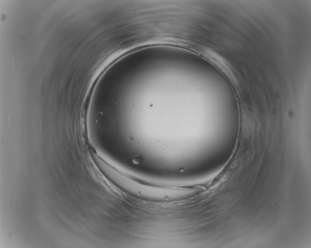 X0000064721292200602171606